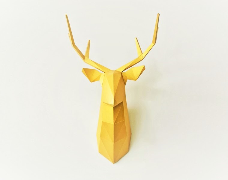 What Your Shoes Shape Says About You