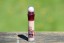 Maybelline Age Rewind Concealer – Buy or Nay?