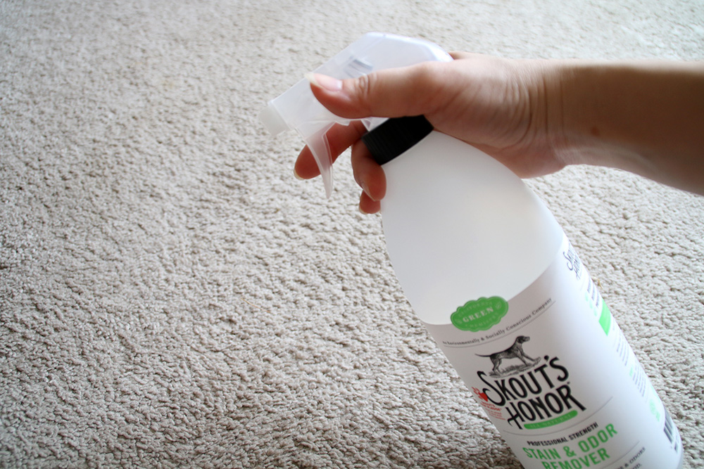Skout’s Honor Stain and Odor Remover