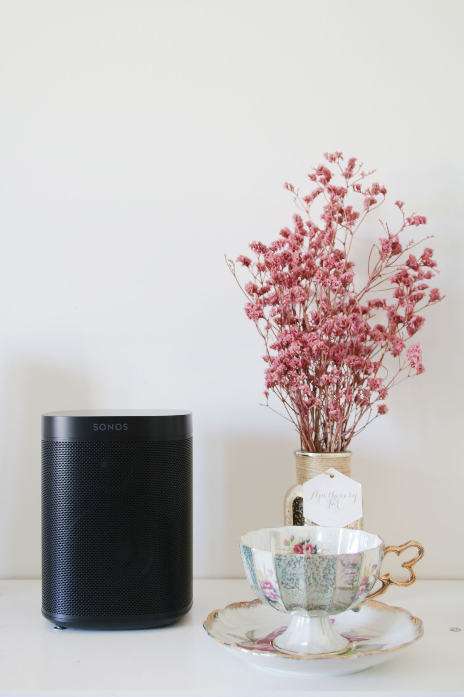 sonos one speaker