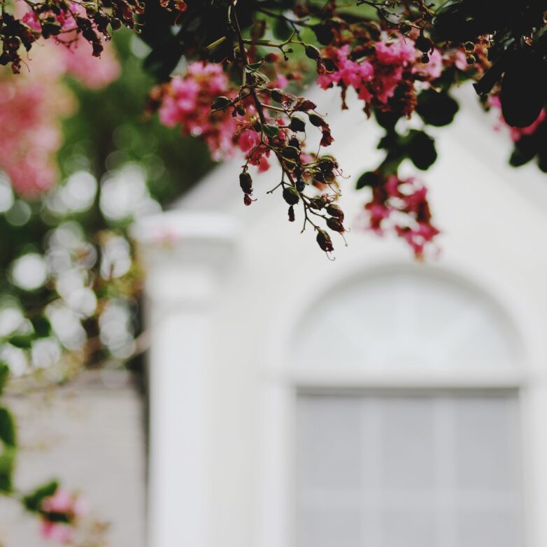 Refreshing Ideas to Update Your Home for Spring