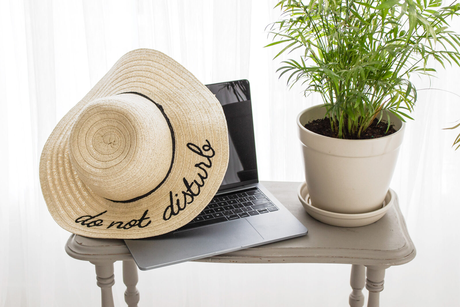 plants, garden, gardening, decor
