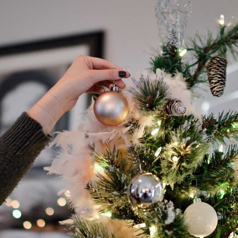 Moving Home Alone for Christmas