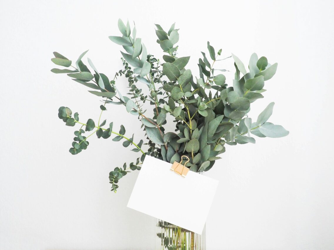 Starting An Invitation Company? This Is what You Need