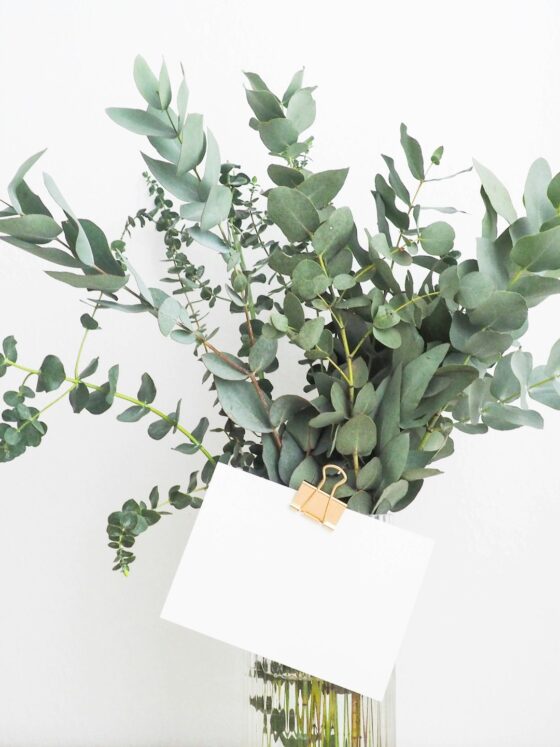 Starting An Invitation Company? This Is what You Need