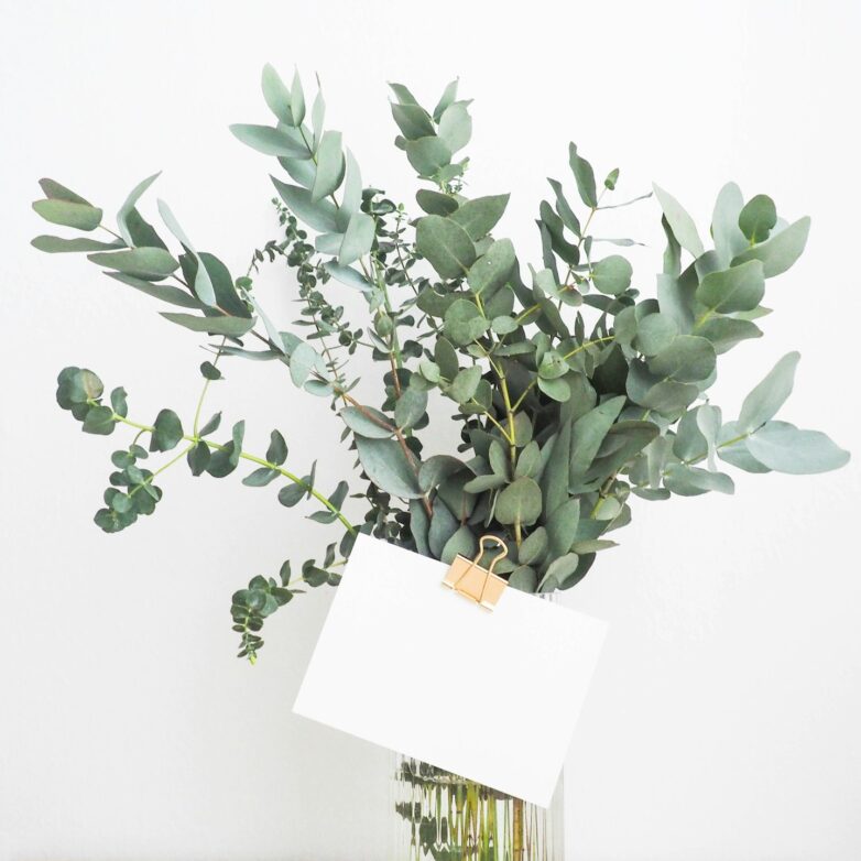 Starting An Invitation Company? This Is what You Need