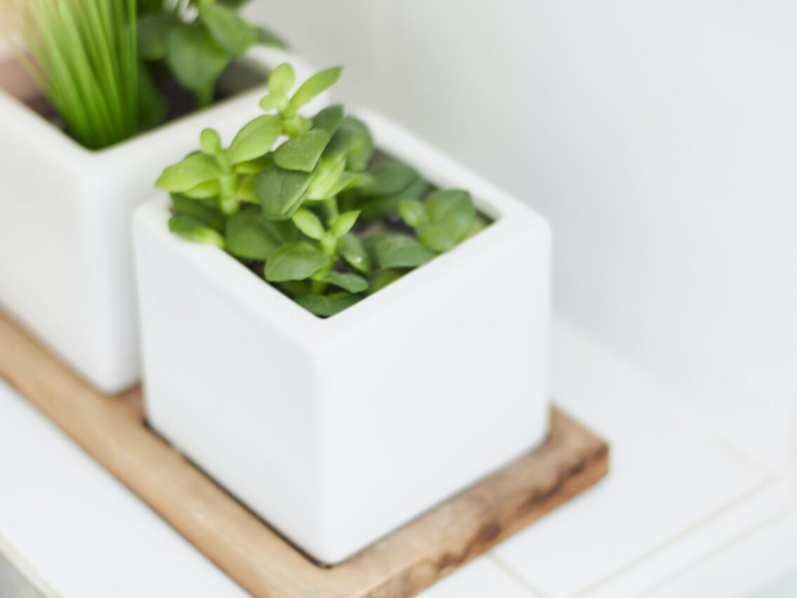 Home Improvement: Ideas That Won’t Break The Bank