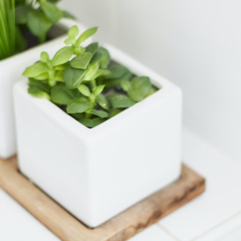 Home Improvement: Ideas That Won’t Break The Bank