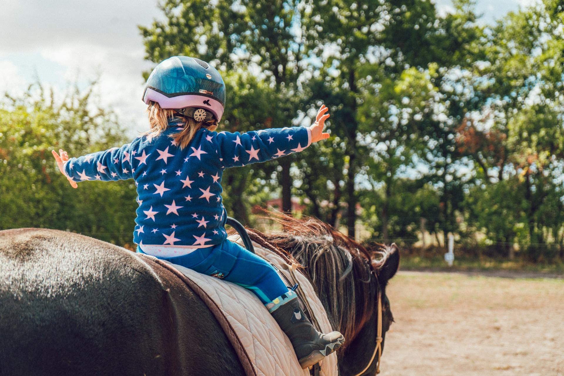 kids, pet, horse, animal, friend