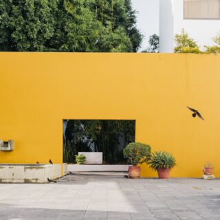 Planning for a Birthday Party during the Holidays + Gift Ideas!