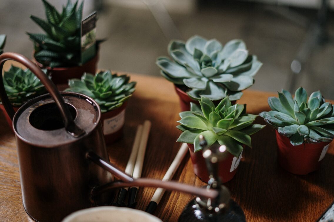 Finding Deeper Joy In Your Gardening Hobby