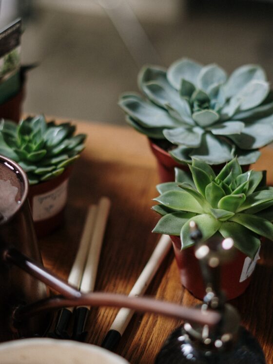 Giving Your Outside Spaces A Facelift