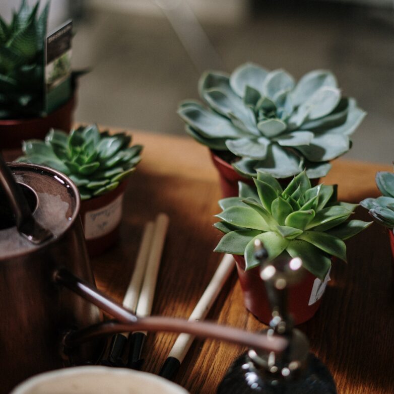 Finding Deeper Joy In Your Gardening Hobby