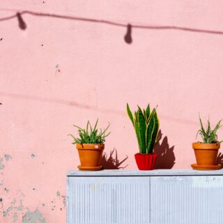 Home Improvement: Ideas That Won’t Break The Bank