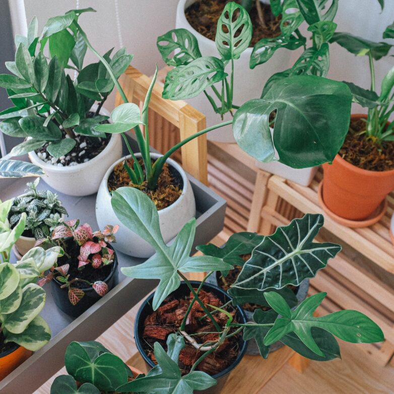9 Tips on How to Upgrade Your Outdoor Area On a Budget