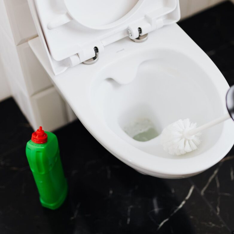 Toilet Troubles: Issues You Shouldn’t Ignore