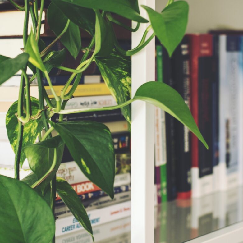 Practical Strategies For Downsizing Your Home
