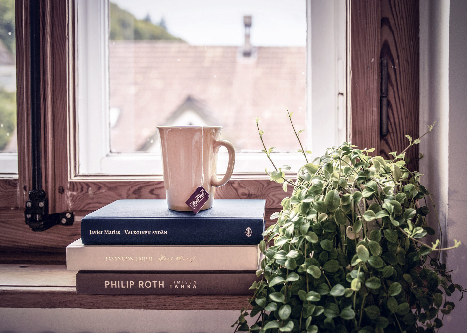 book, reading, nook, decor, design, interior, relaxation, relaxing, relax