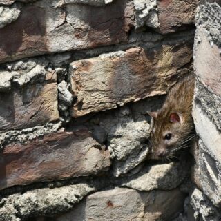 Steeping Yourself In The History Of Wilmington