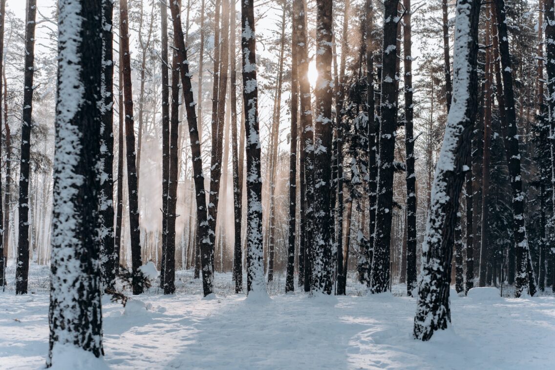 It’s Never That Far Away! 5 Reasons It Benefits You to Prepare for Winter Now