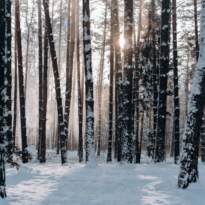 Winter Weatherproofing Your Home this Year