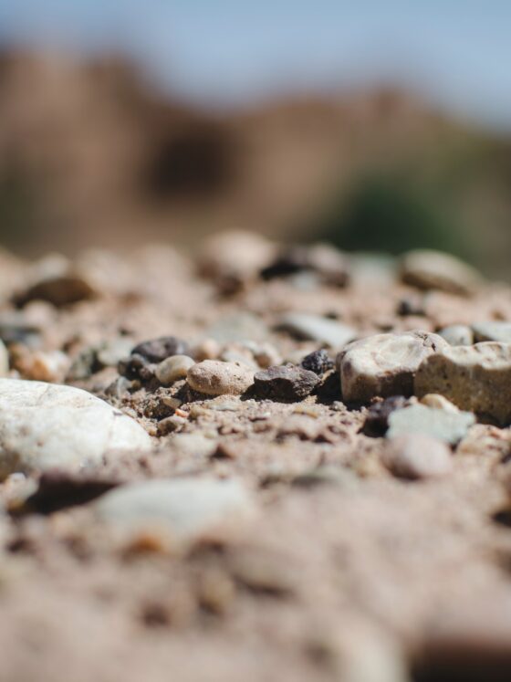 4 Important Steps To Take After Buying Land