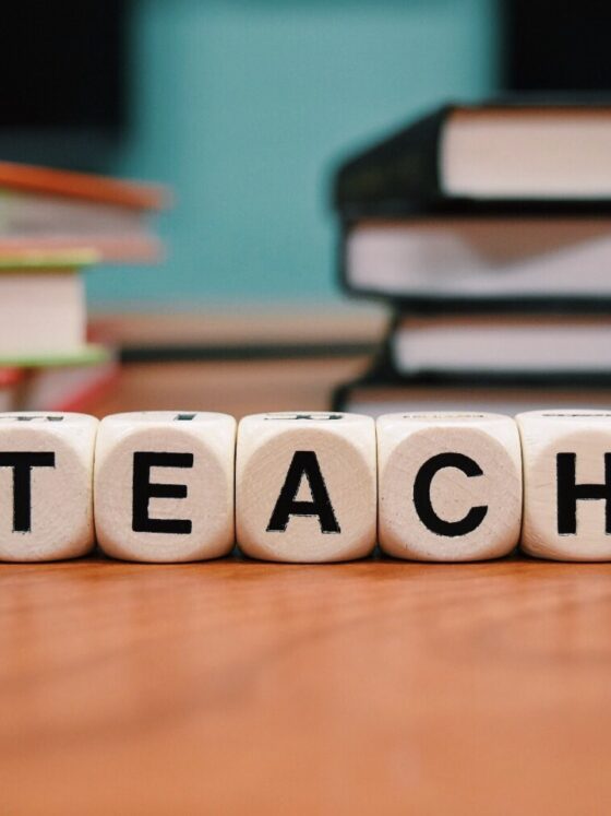 5 Non-Academic Teaching Jobs To Consider
