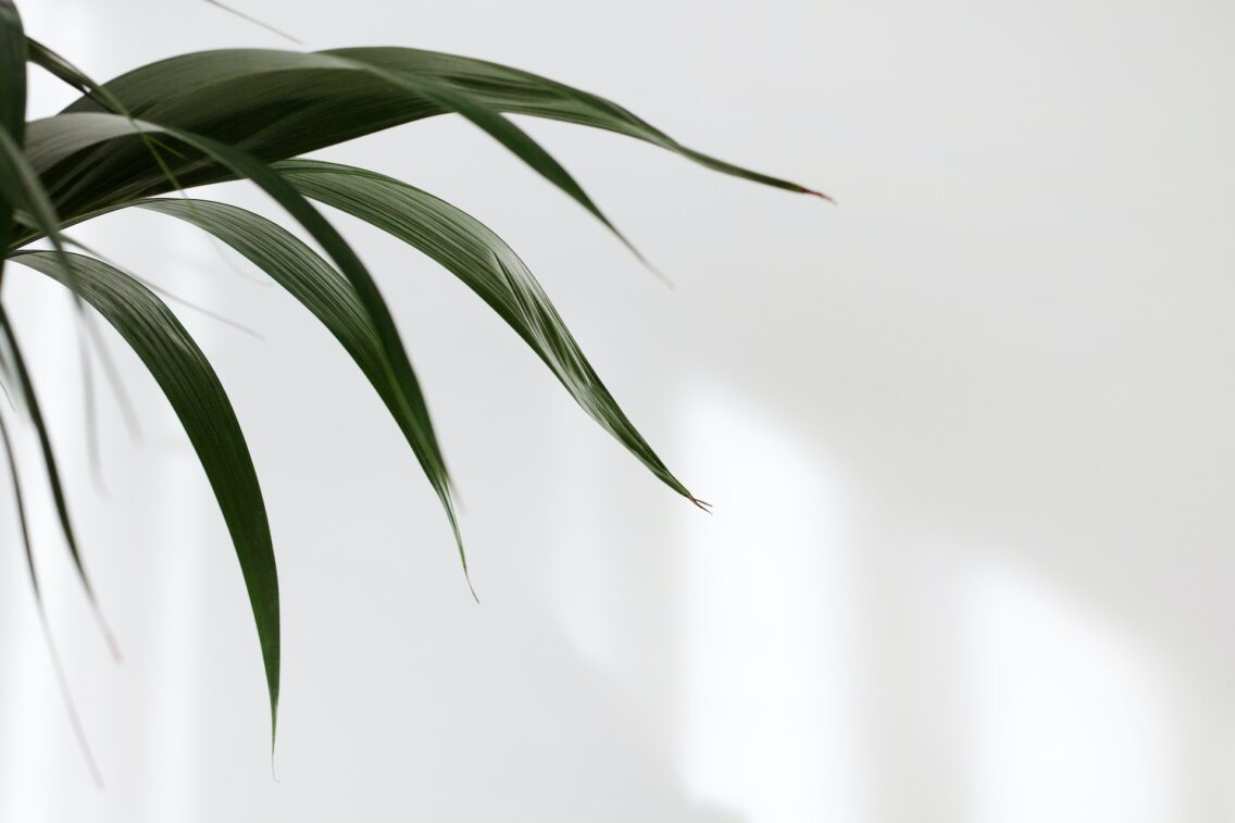 How To Create More Light In Your Home
