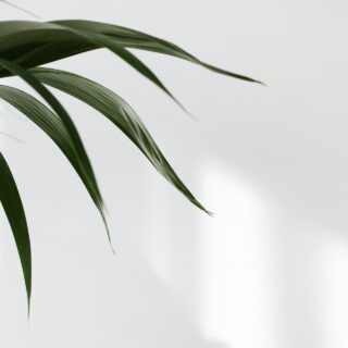 How To Increase the Value Of Your Home