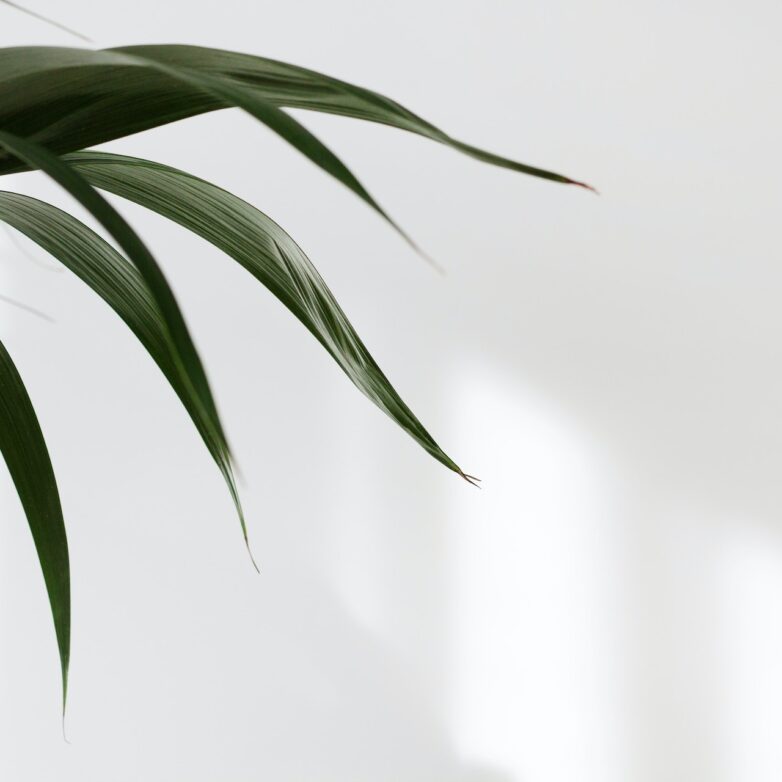 How To Create More Light In Your Home