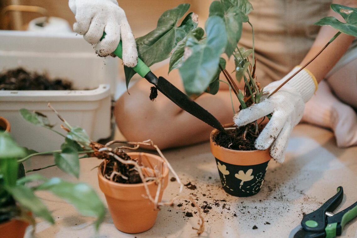 12 Gadgets For Your Garden