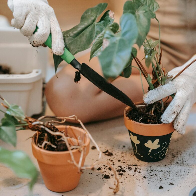 12 Gadgets For Your Garden