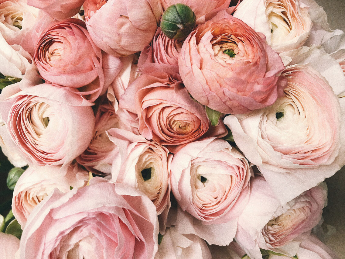 How to Get Back Into the Dating Pool: Tips for Newly Single People
