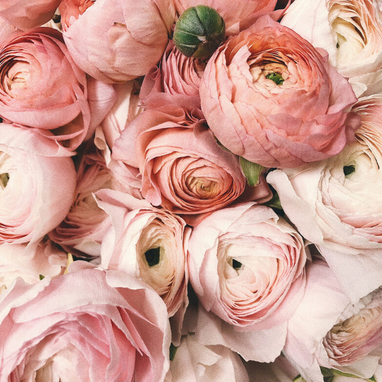 How to Get Back Into the Dating Pool: Tips for Newly Single People