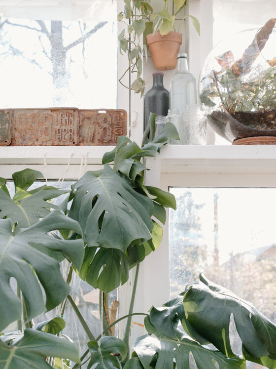 Top tips for updating your garden