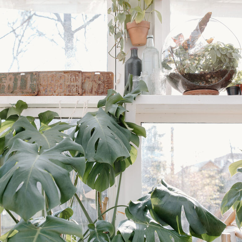 Top tips for updating your garden