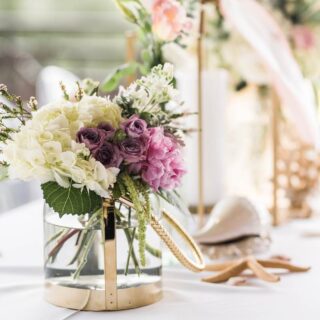 Joovy Foodoo – A High Chair for Babies as They Grow