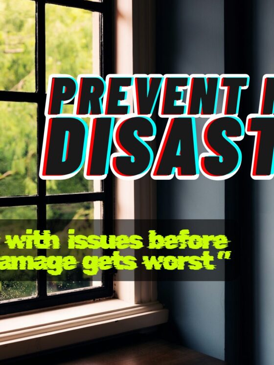 Dealing With Damp Before The Damage Gets Worse